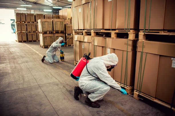 Best Termite Control Services  in Millis Clicquot, MA
