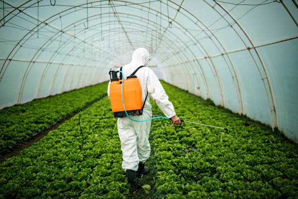 Best Residential Pest Control  in Millis Clicquot, MA