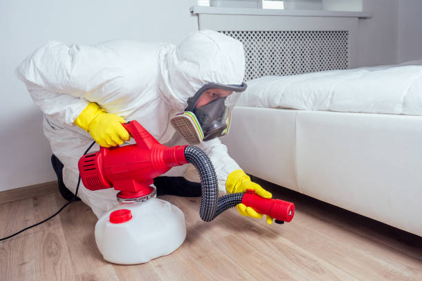 Best Bed Bug Extermination  in Millis Clicquot, MA