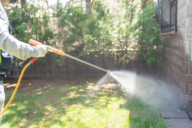 Best Mosquito Control Services  in Millis Clicquot, MA