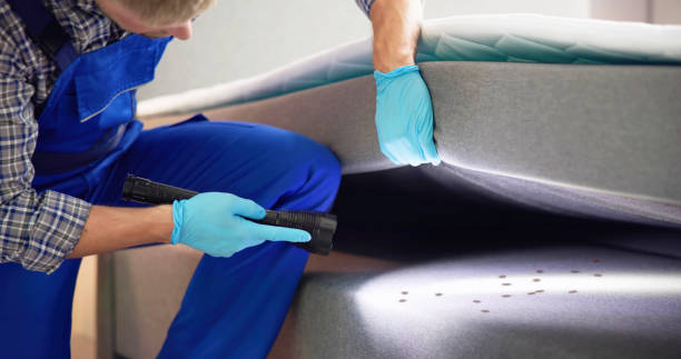 Best Pest Prevention Services  in Millis Clicquot, MA