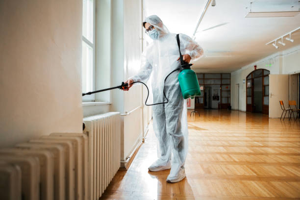 Best Bed Bug Extermination  in Millis Clicquot, MA