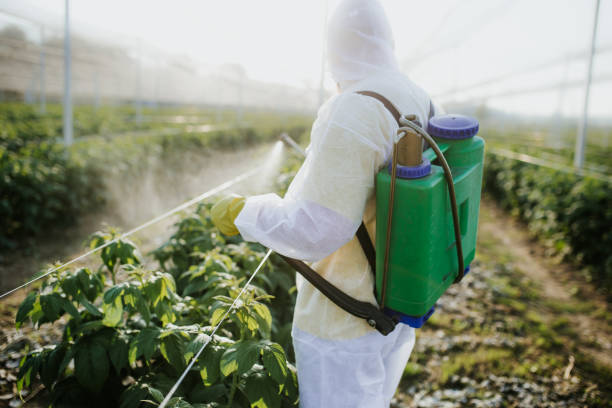 Best Local Pest Control Services  in Millis Clicquot, MA